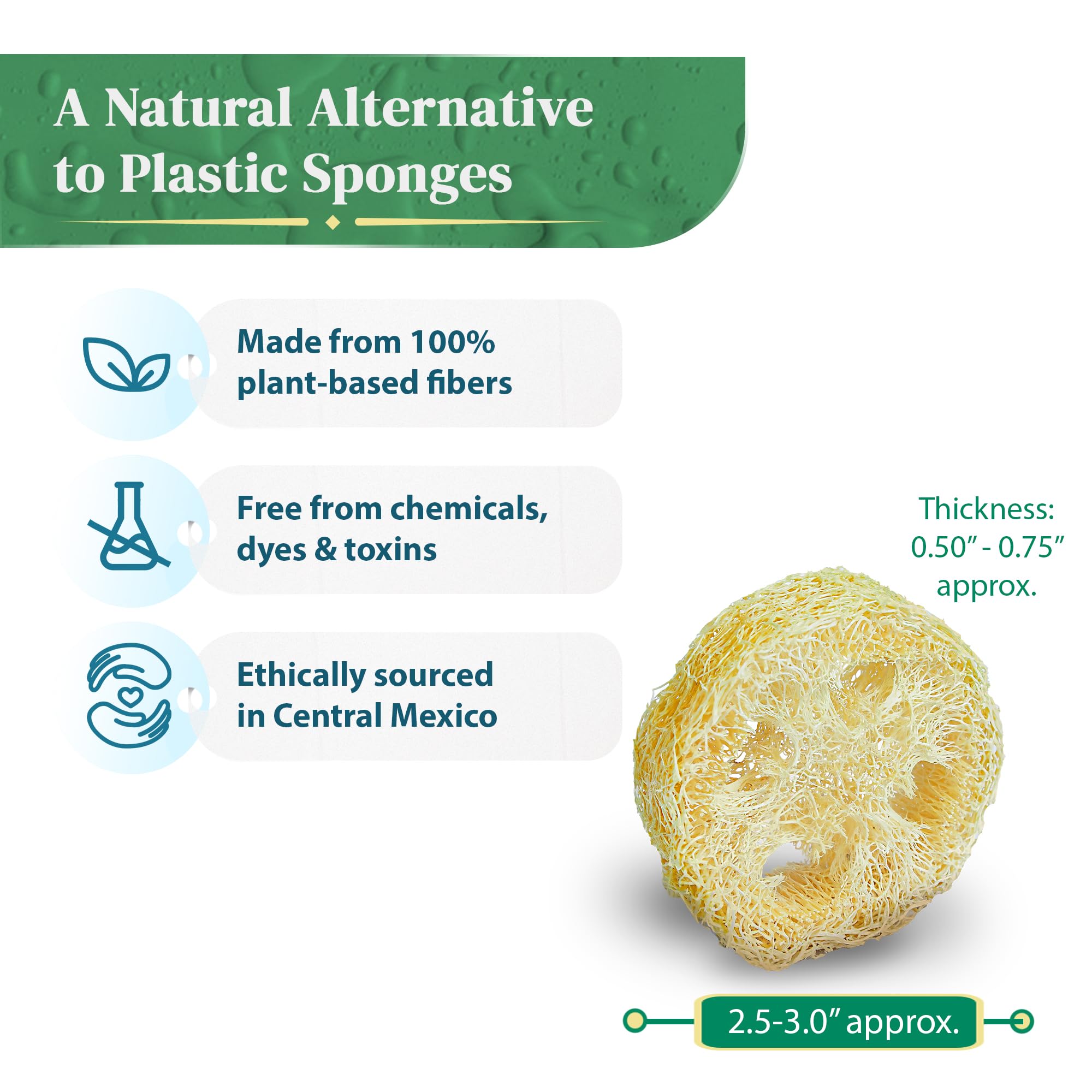 Natural Loofah Slices for Soap Making, 20-Pack