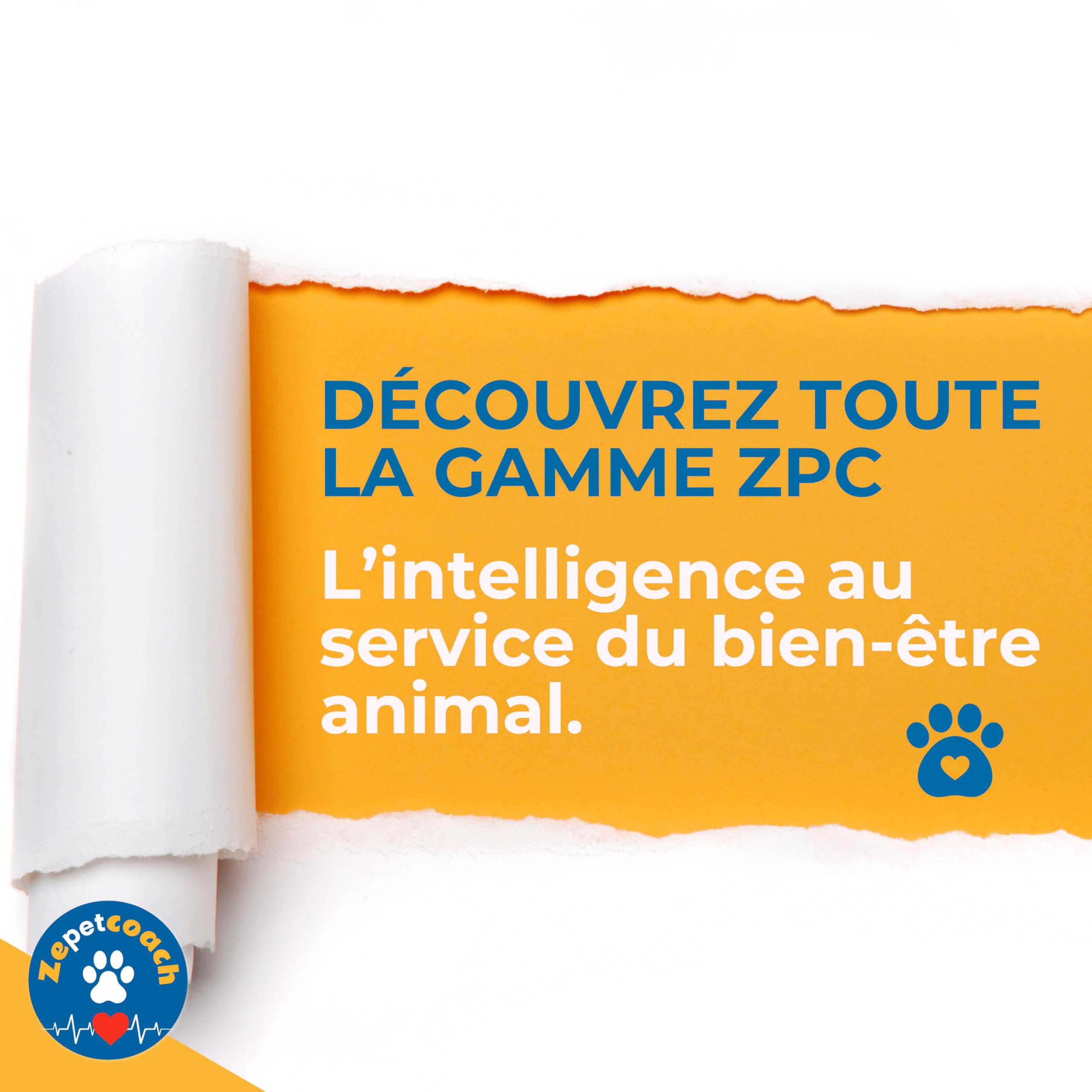 Huile de Saumon Sauvage pour Chien & Chat - Oméga 3 & 6 Naturel - Soutien Pelage Brillant, Mobilité Articulaire & Vitalité - 500 ML