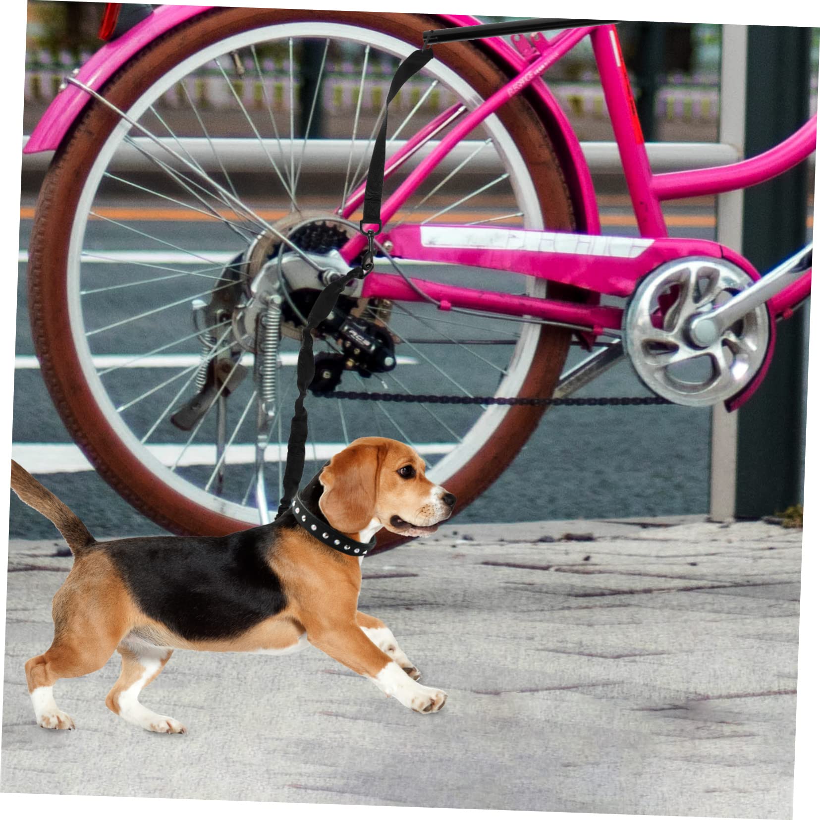 Sosoport 1set Guinzaglio Da Ciclismo Per Cani Con Flessibilità Per Passeggiate All Aperto Accessorio Pratico Per Amanti Degli Animali Nero