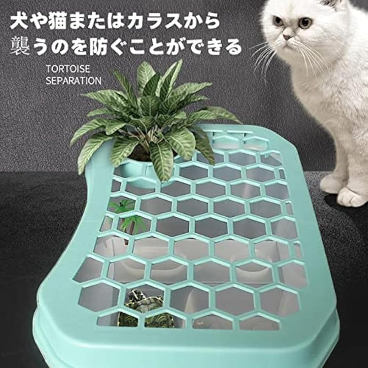 Amazon | カメ用水槽 大きい カメ 水槽 亀の水槽 40CM 60CM 73CM