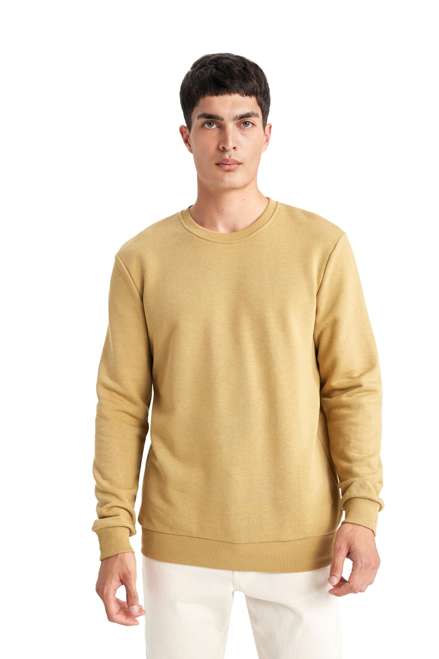 DeFacto Men's Pullover and Sweatshirt - Selection of Sweaters and Sweatshirts for Men, khaki, S