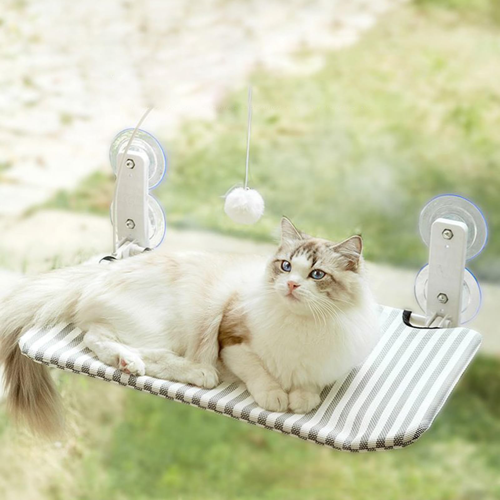 Gatti Davanzale – Multifunzionale Pieghevole Gatti Amaca Per La Parete,Ormeggio Imbottito Con Ventosa di Fissaggio Per Armadio Letto Possibilità di Arrampicata Senza Fili Gattini | Cuscino Pieghevole con Attacco a per Interno ed Esterno per in Camera da ,