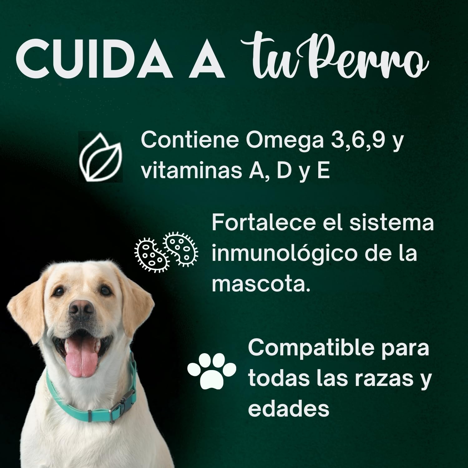 DISANE Aceite de Hígado de Bacalao Perros | 500ml| Suplemento Natural para Cuidado de Las Articulaciones y el Pelaje | Fuente de Omega 3 y Vitaminas para Perros