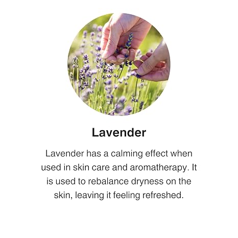 Jurlique Comforting Lavender Shower Gel, Lavender Body Wash, 10.14 Fl Oz | Shower Gel for Women, For All Skin Types, Natural Body Cleanser & Skincare, Australian Natural-Based Skincare