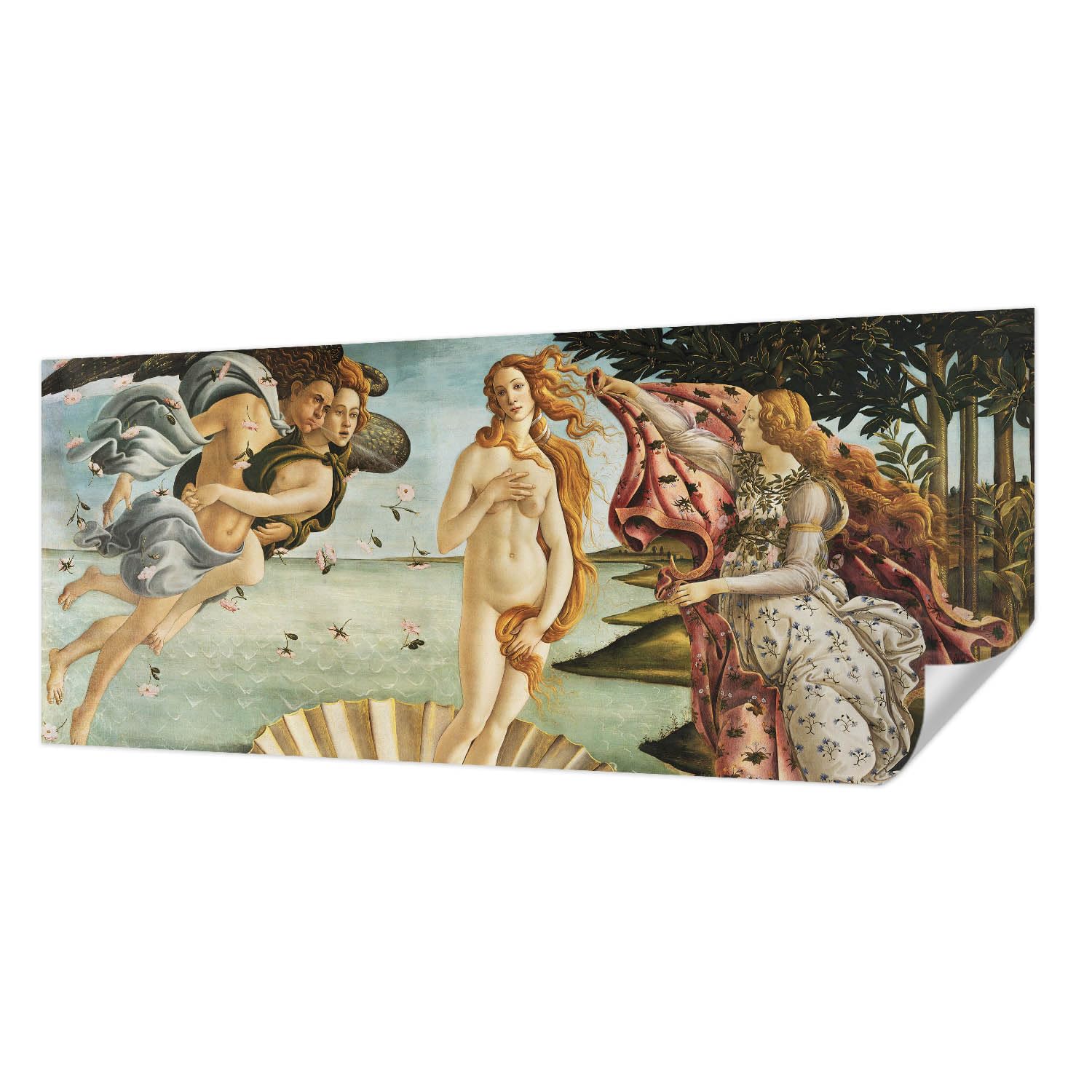 Papier peint autocollant panoramique pour salon et chambre décor Naissance de Vénus