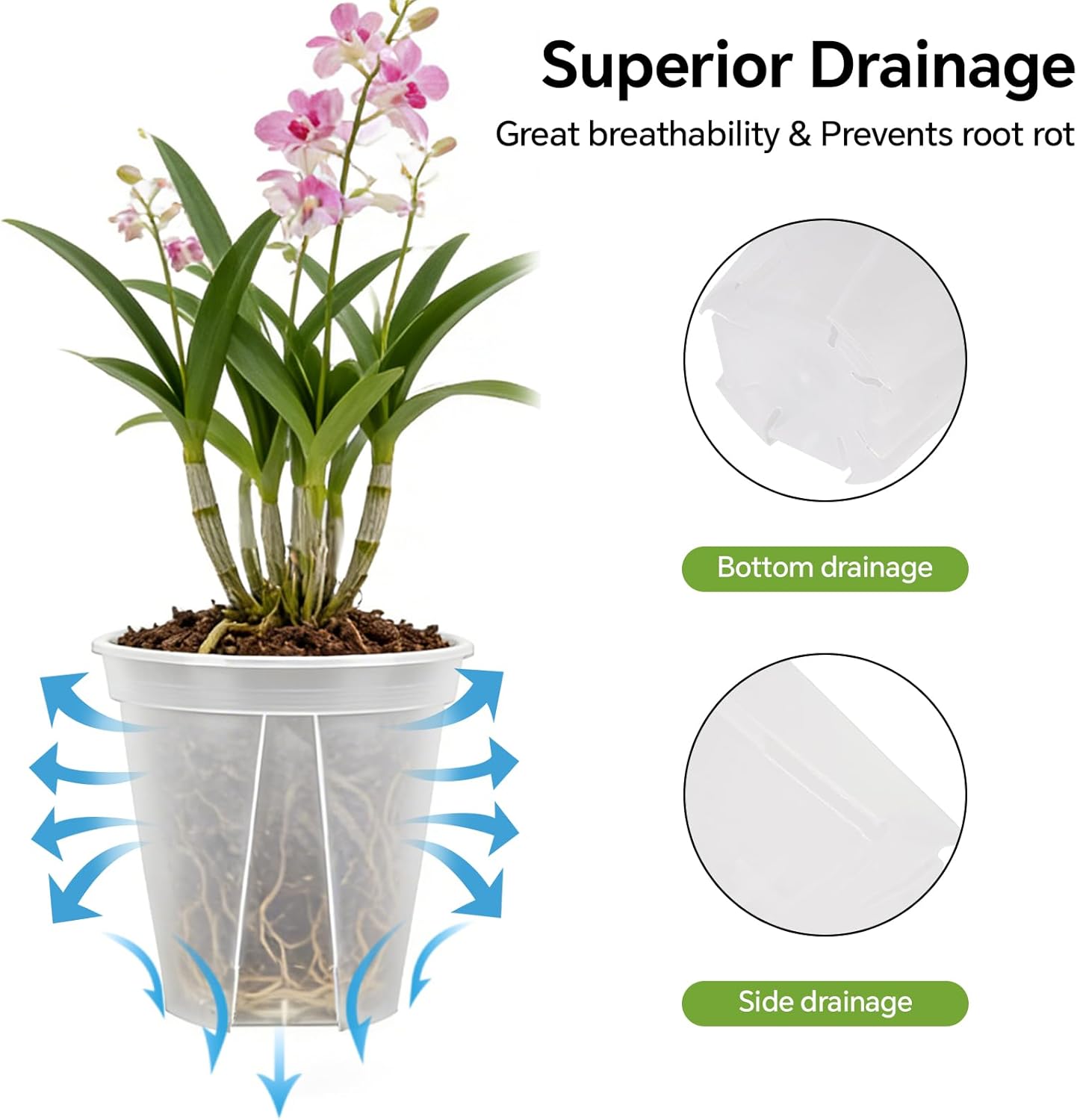 6/8/10/12 Inch Large Clear Nursery Pots 12 Pack, Large Clear deep planter Plastic Plant Pots with Drainage for Bulbs & Orchids, Ideal for Hyacinths, Tulips, Amaryllis, Indoor Outdoor Deep Pots