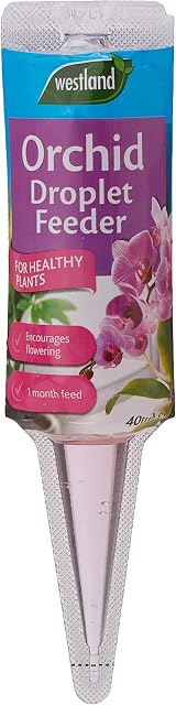 Westland Orchid Plant Droplet Feeder, 40 ml
