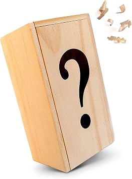 Logica Jeux Art. Box? - Secret Box - Difficulte 5/6 Uncrojable - Wooden Puzzle - Secret Box - Leonardo da Vinci Collection
