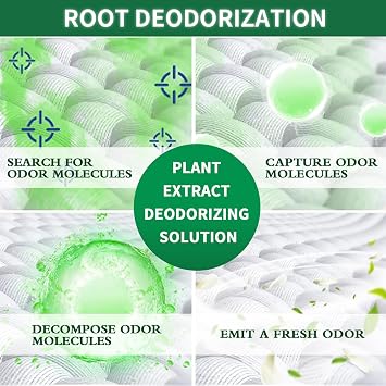 Deodorant,Non-Toxic Natural Air Areshener,Strong Odor Eliminator,Odor Neutralizer, Odor Eliminator,Deodorant -1 Gallon