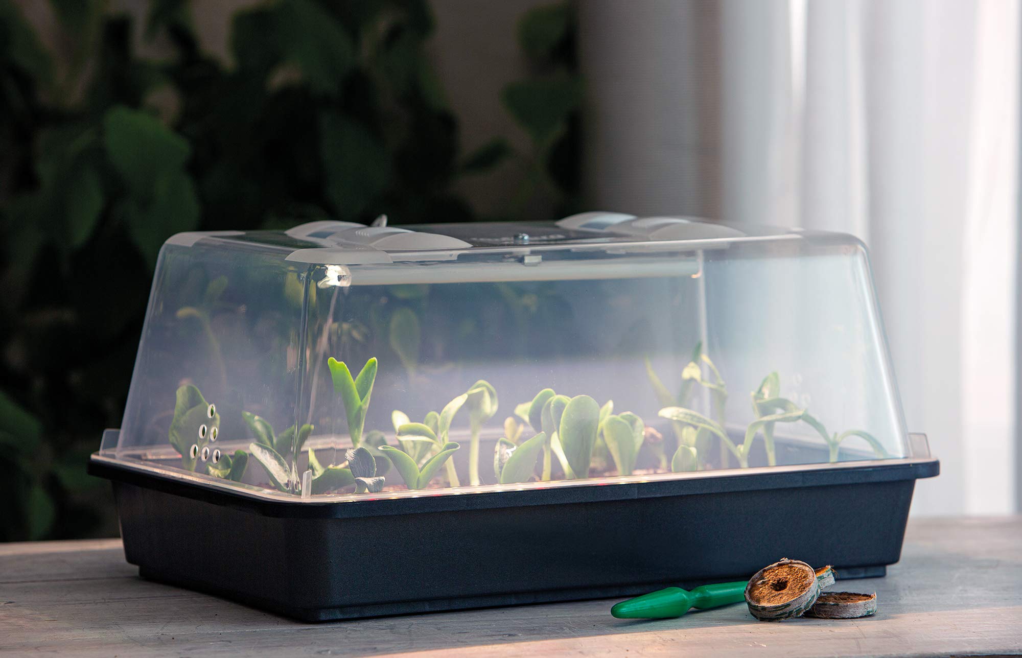 Romberg Indoor Greenhouse Lumio M LED (Zimmergewächshaus) mit integrierter LED-Pflanzenbeleuchtung, Kunststoffrahmen, Aufrollverschluss, klar, 38 x 24 x 19 cm