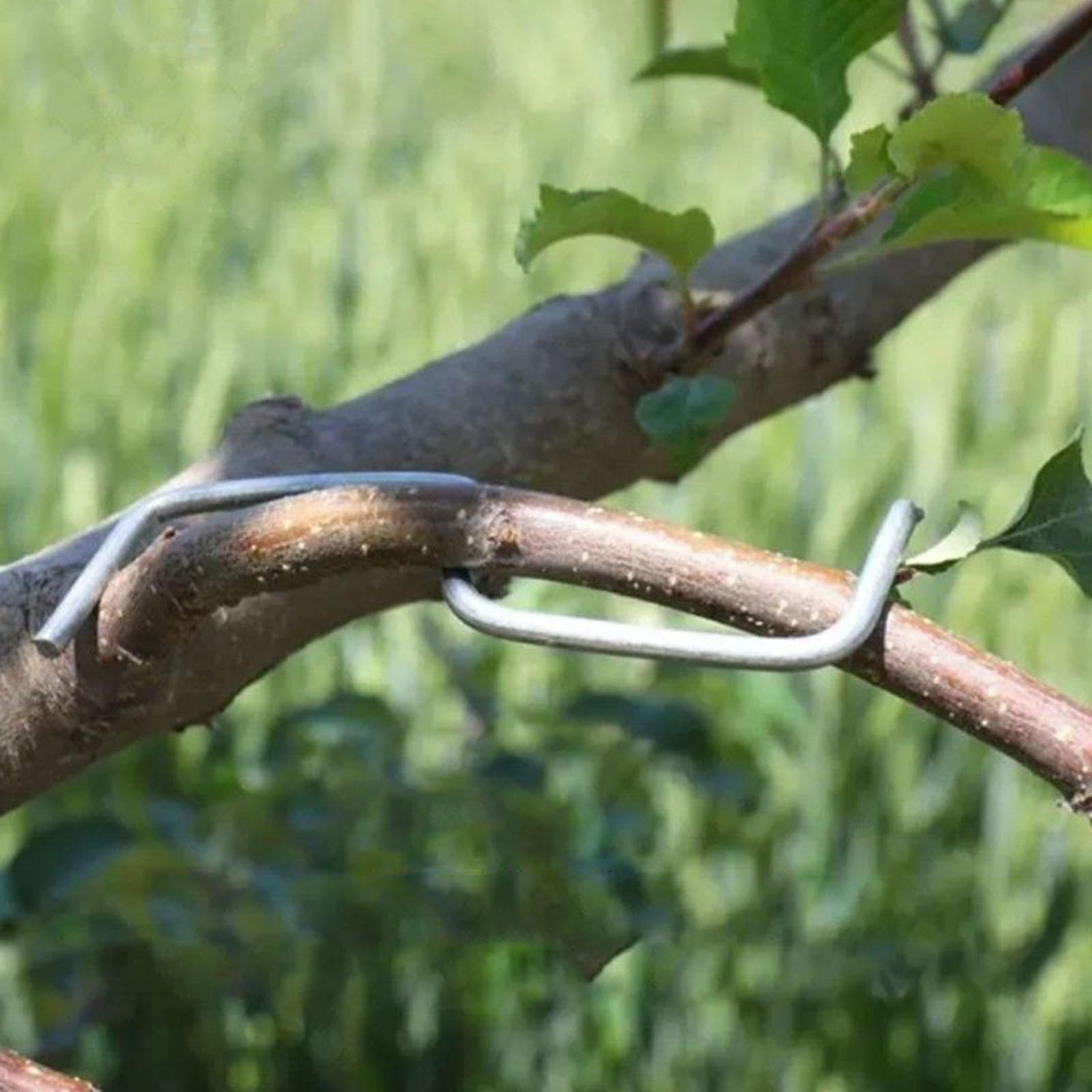 25Pcs Fruit Tree Branch Limb Spreader 5.12inch for Gardener Farm Fruit Trees | Home & Garden | Yard, Garden & Outdoor Living | Gardening Supplies | Plant Care, Soil & Accessories-image-35