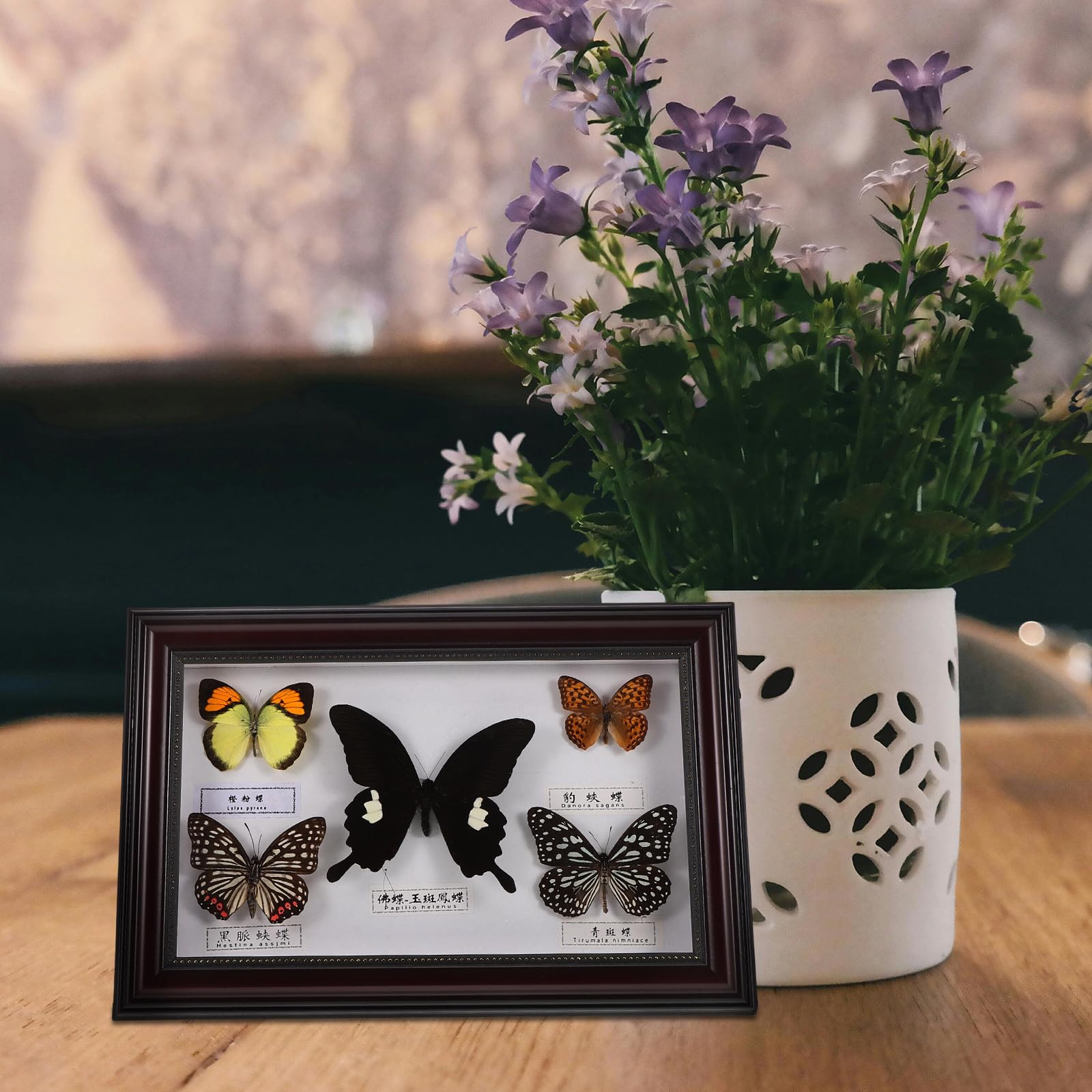 Marco de Fotos Decorativo Mariposas de Madera, Diseño Retro y Acabado Artesanal, Adecuado Decoración del Hogar y Espacios de Vida