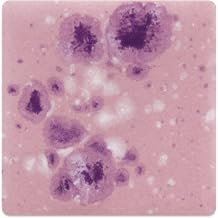 Mayco Jungle Gems Crystal Glaze - Pink Plum, Pint