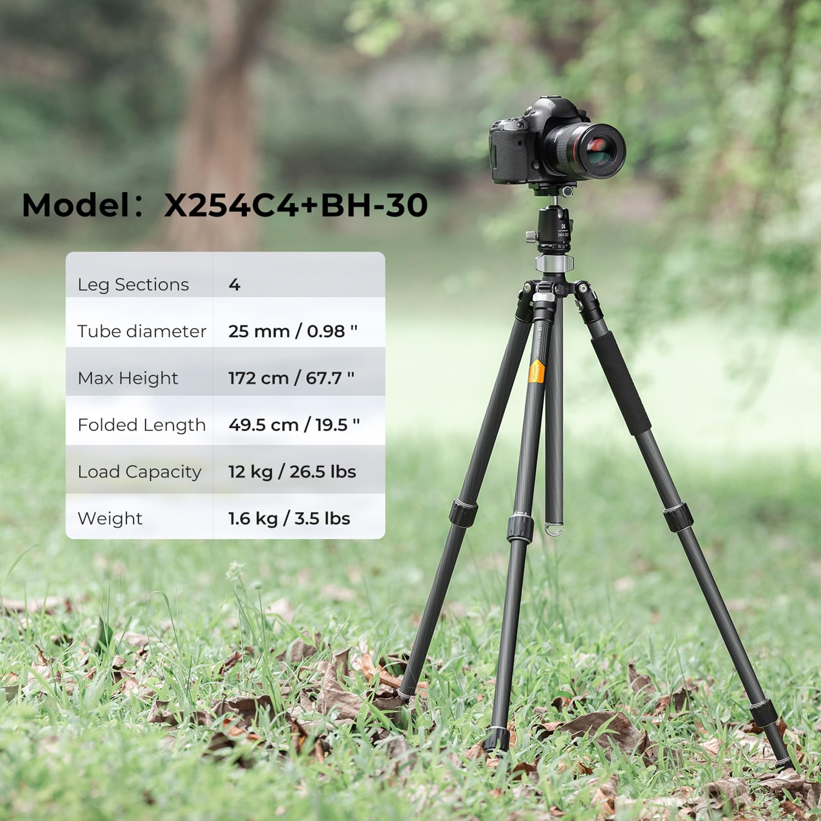 Statyw do Aparatu z Włókna Węglowego z obrotową głowicą kulową 360° do Fotografii Podróżniczej za pomocą Lustrzanki Cyfrowej