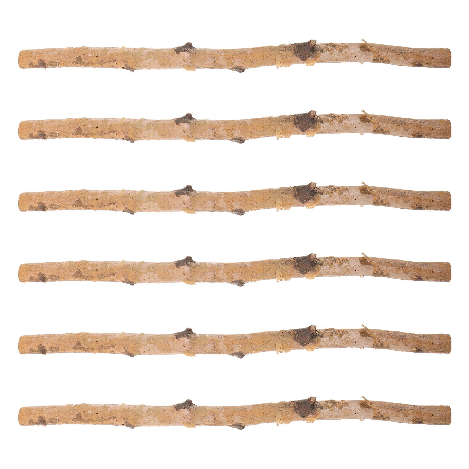 Branches bois pour bricolage et loisirs créatifs à la maison