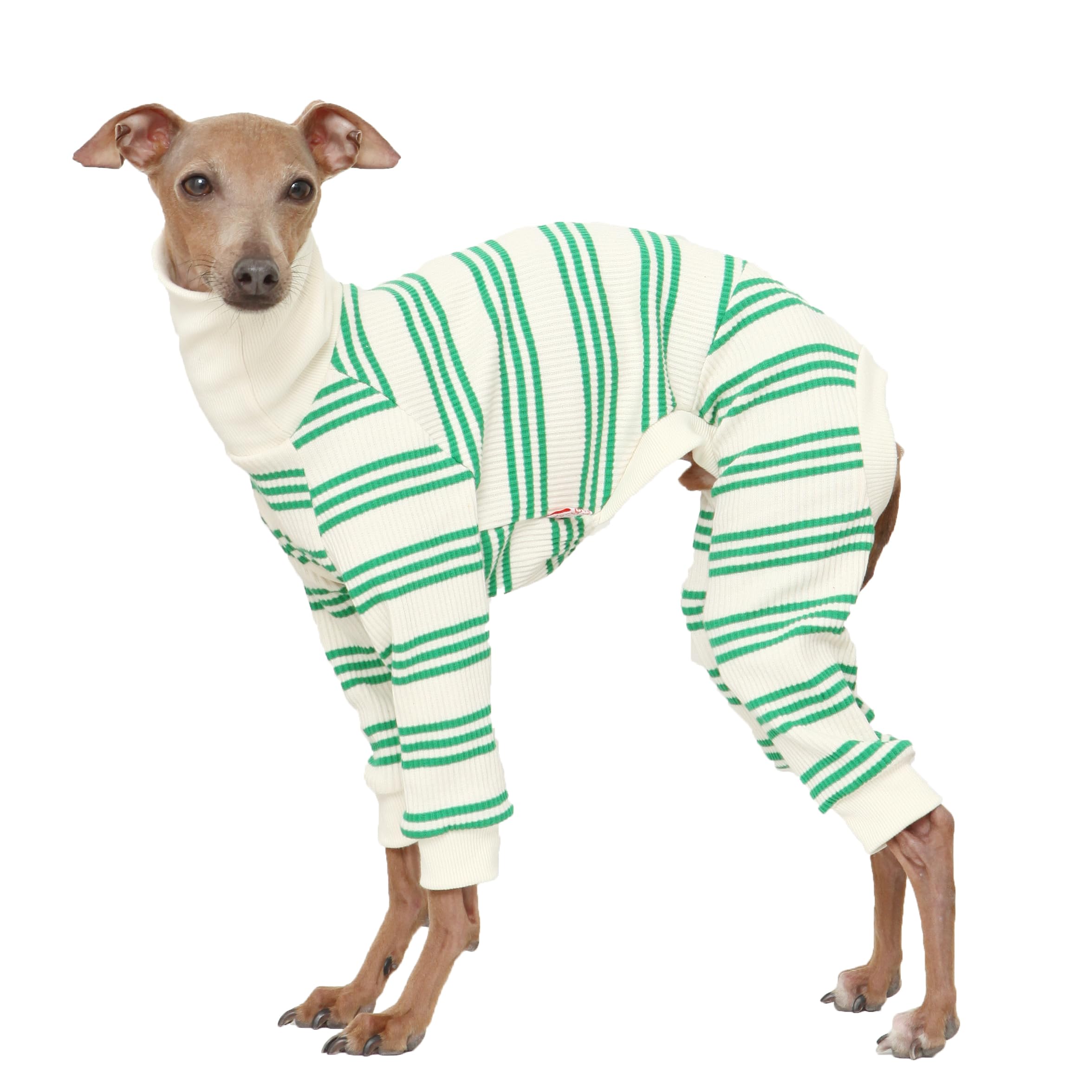 D Doggy Star Italian Greyhound Clothes Soft Stretchy Onesie Refined Stripe Outfit Whippet for Dog Coat (S,Onsi Green Str) โ image 1