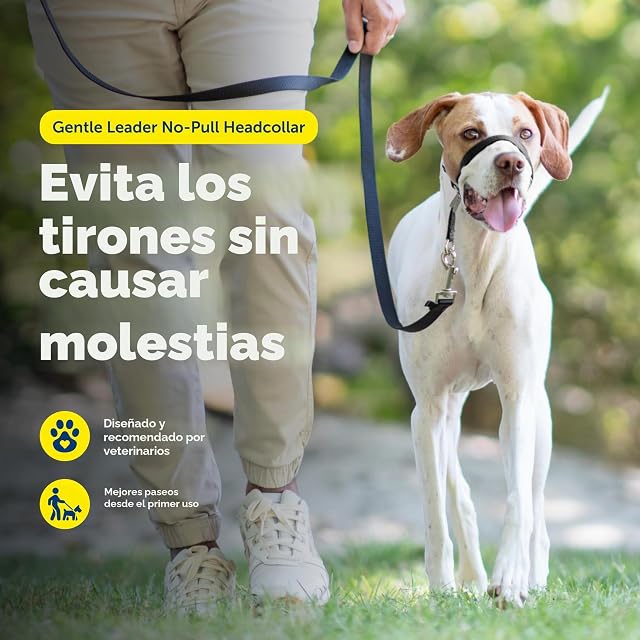 Foto 2 de 8 de PetSafe Gentle Leader - Collar para la Cabeza de Perro sin tirones, la solución definitiva para Tirar…