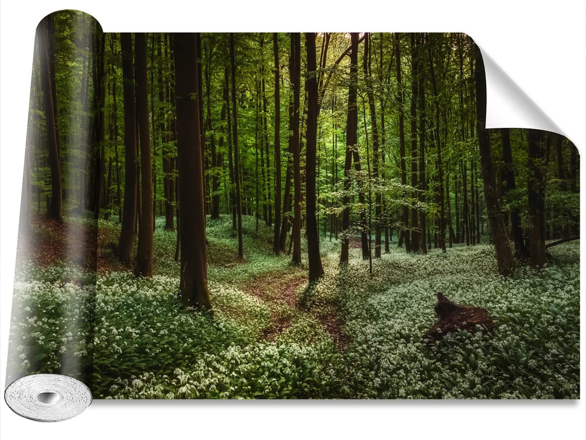 Papier peint forêt de printemps pour masquer les défauts des murs de votre maison