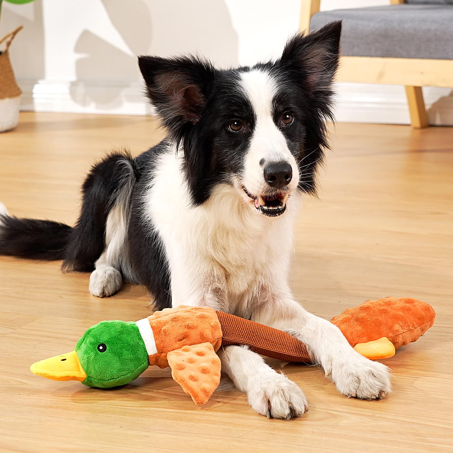 Sedioso Giocattolo per cani extra large, resistente, per cani di taglia grande, 50,8 cm, giocattolo interattivo per cani di taglia piccola, media e grande (anatra)
