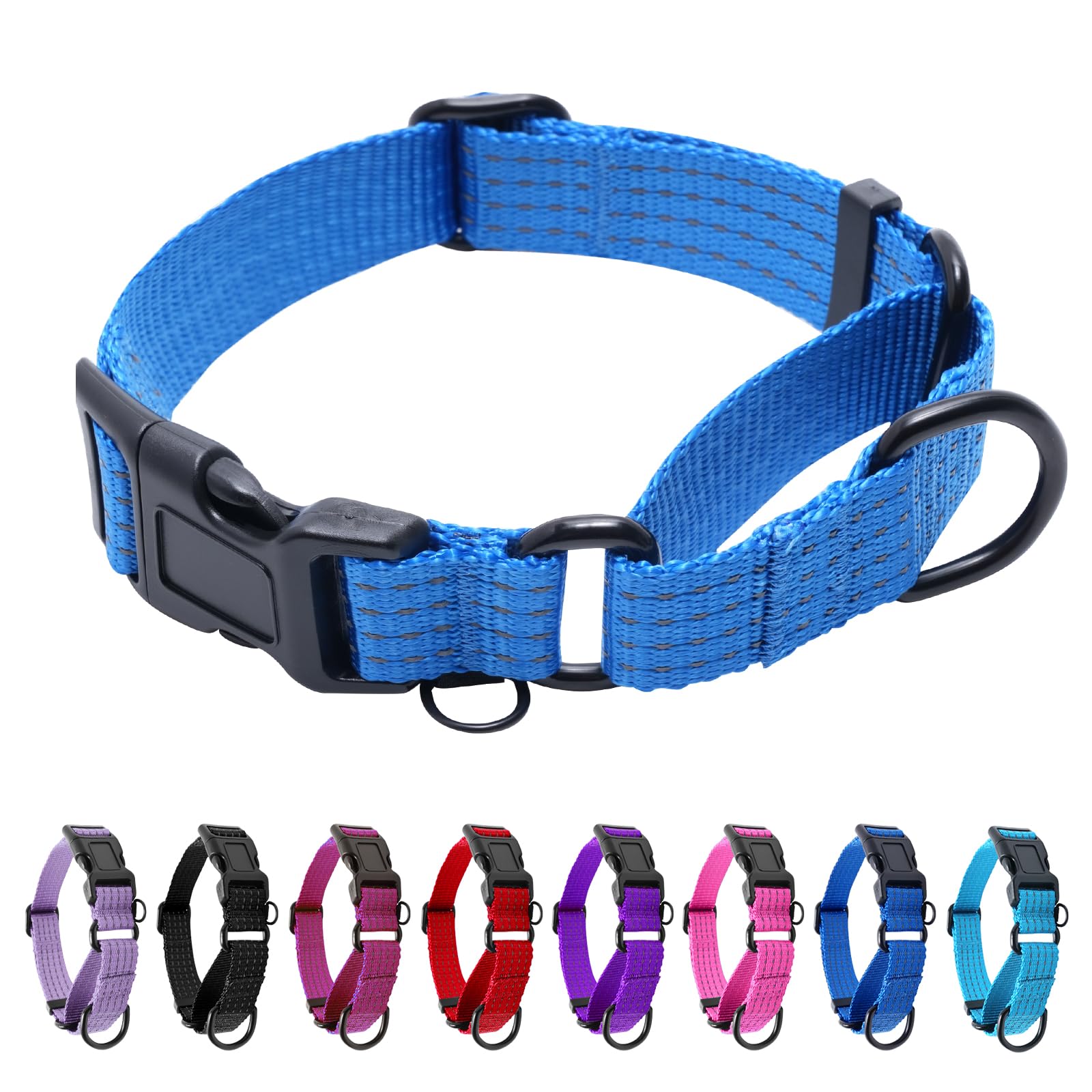 Martingale Dog Collar, Reflective No Pull with Buckle, Blue, S