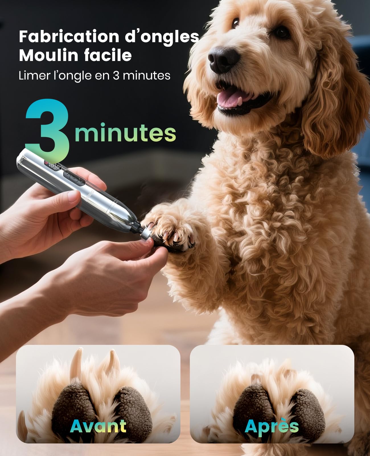 Tondeuse pour chien 4 en 1 oneisall pour poils épais/denses, tondeuse professionnelle silencieuse/coupe-griffes/lime à ongles pour petits et grands chiens et chats, batterie 4h