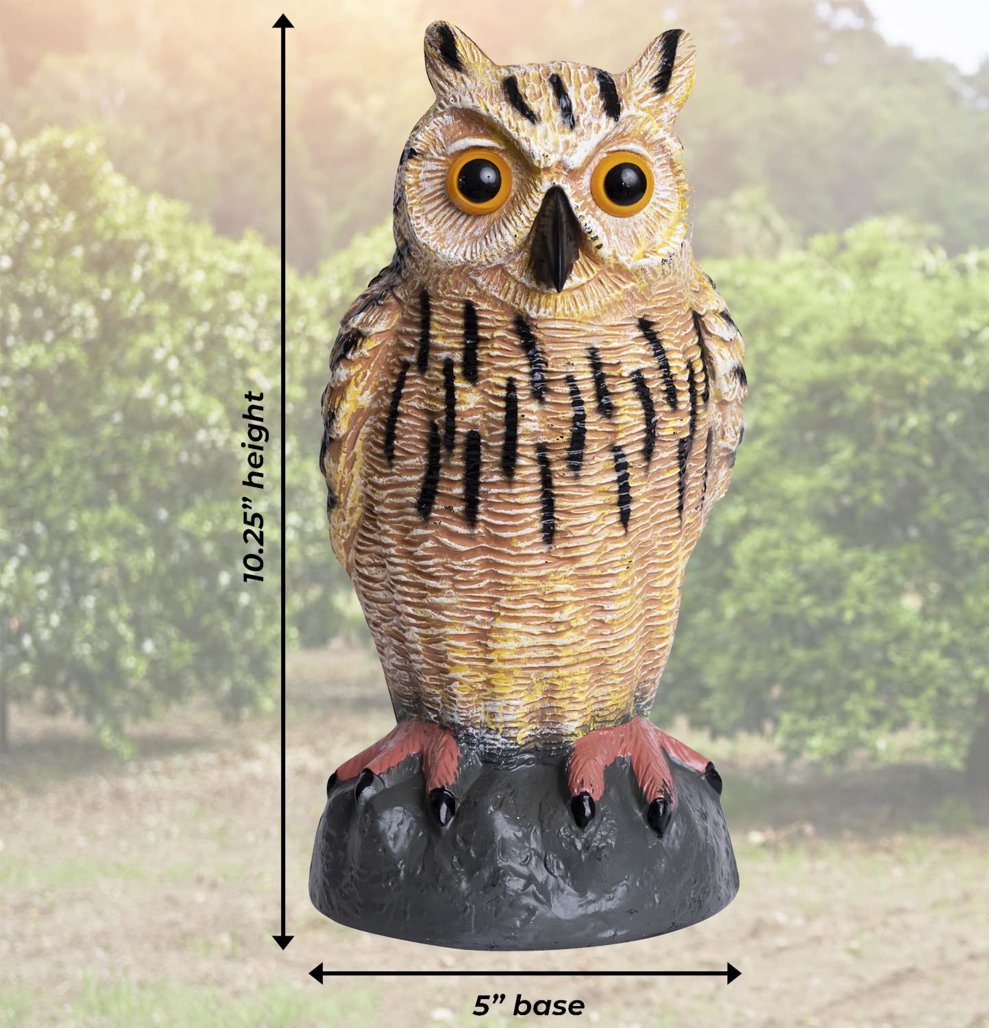 Amazon.com : Galashield Owl Decoy | Plastic Owls to Scare Birds