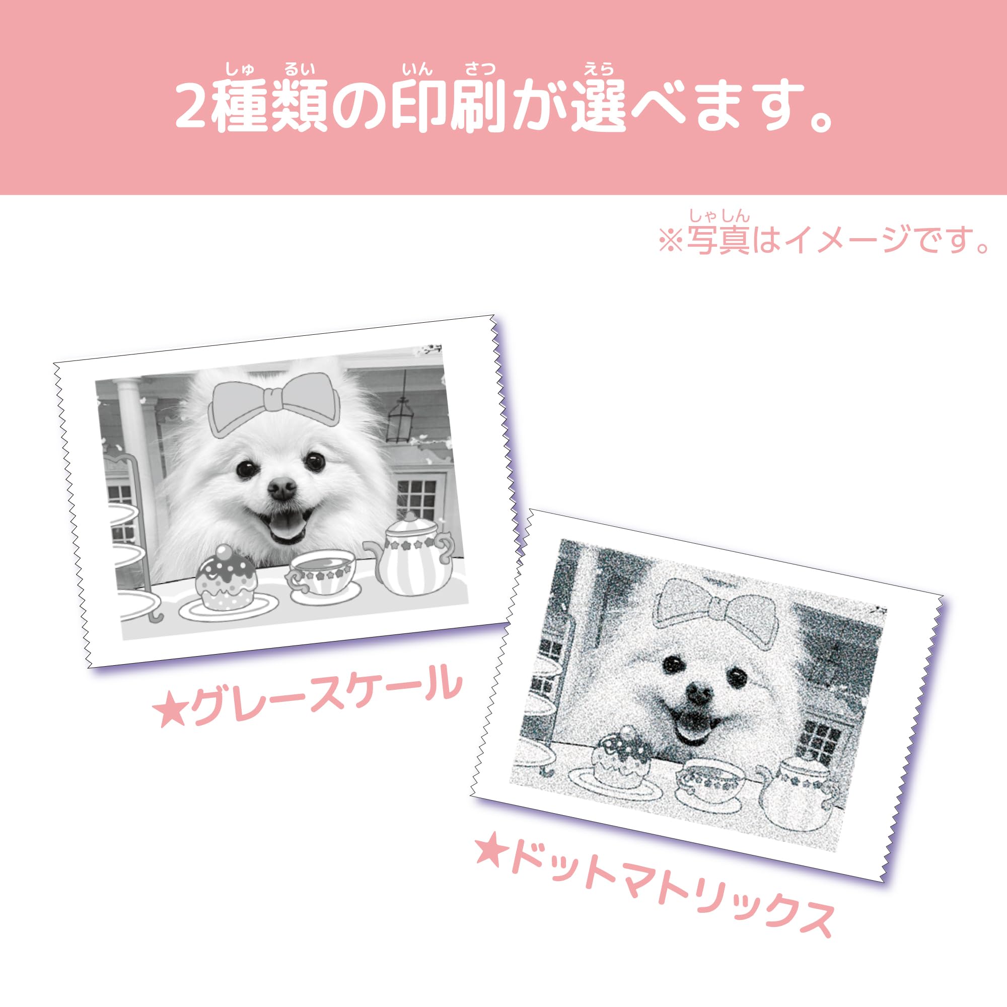 Amazon | セガフェイブ (SEGA FAVE) PRINT CAMERA プリカ マカロン