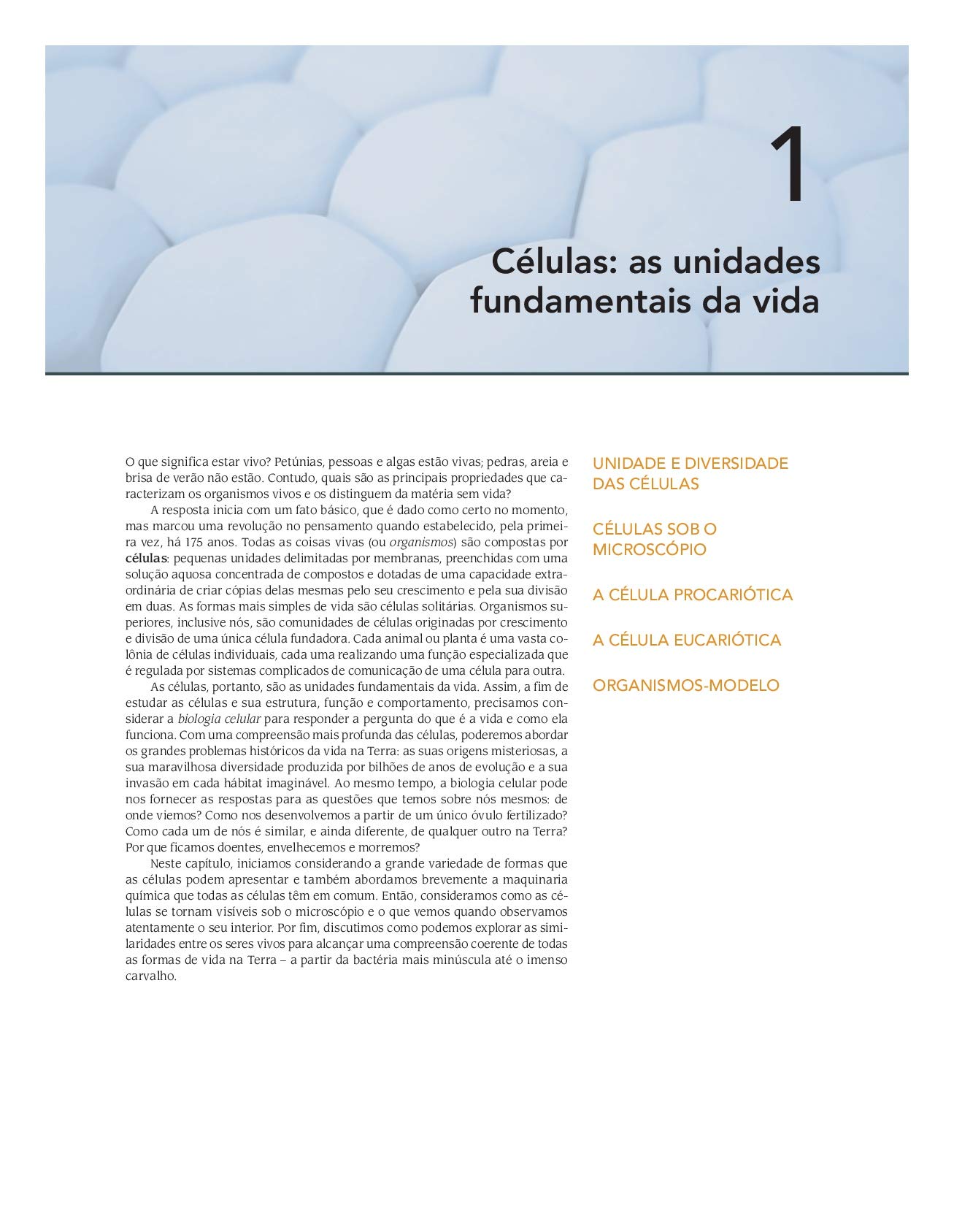 Fundamentos da Biologia Celular