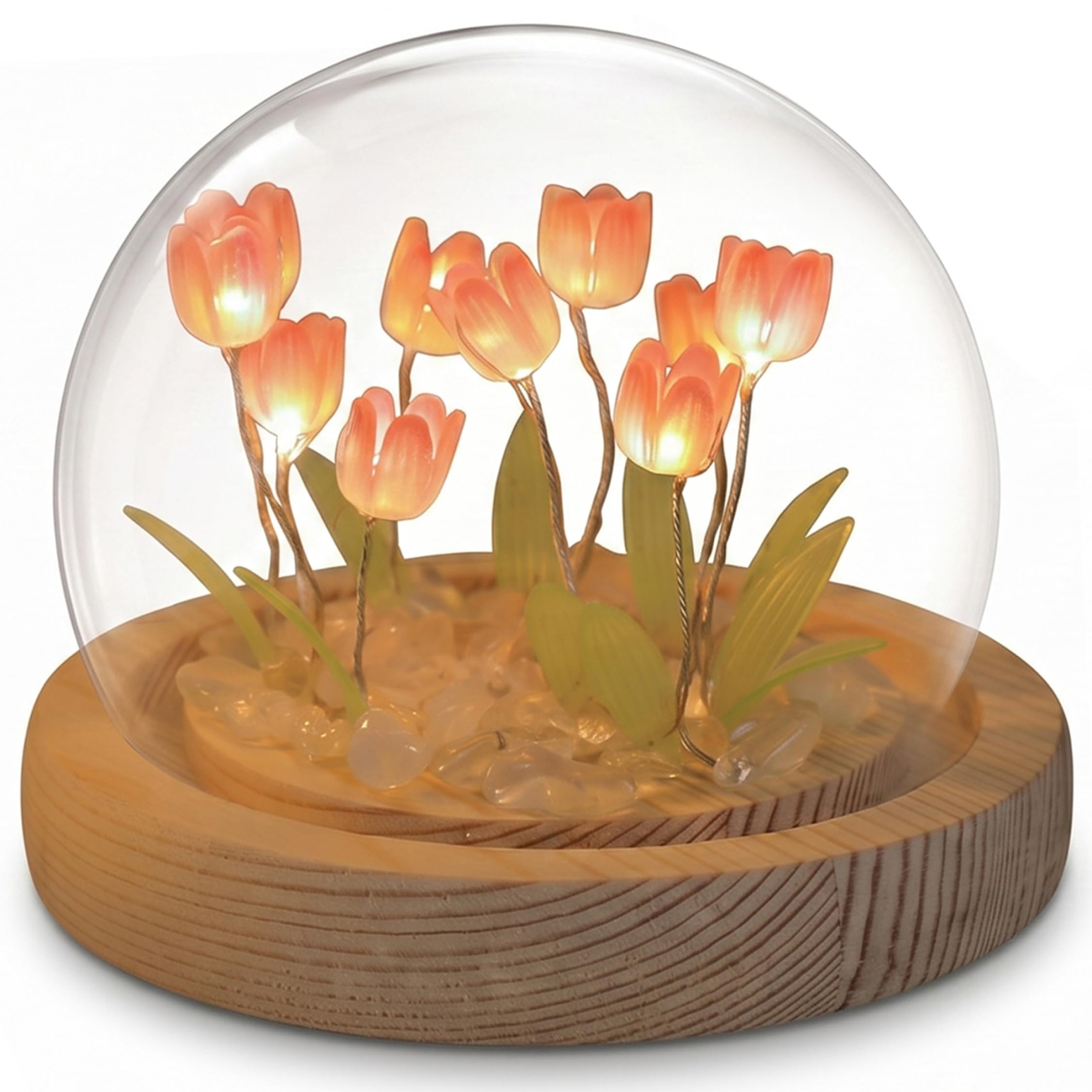 AwnsIMfreien Light Up Tulips, 2pcs DIY Flower Night Light Set With Usb-powered Wood Base, Empty Glass Globe, Tulips for Desktop, Flower Night