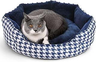cute cat beds amazon