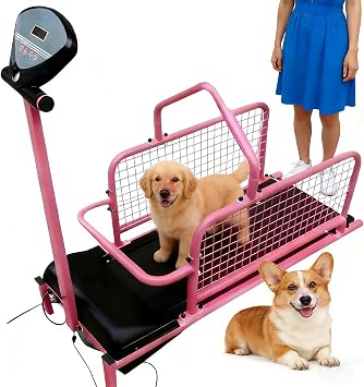 Dog Treadmill for Small Dogs with Display Screen, Adjustable Speed, 80cm Long Running Track, Pet Running Training Machines