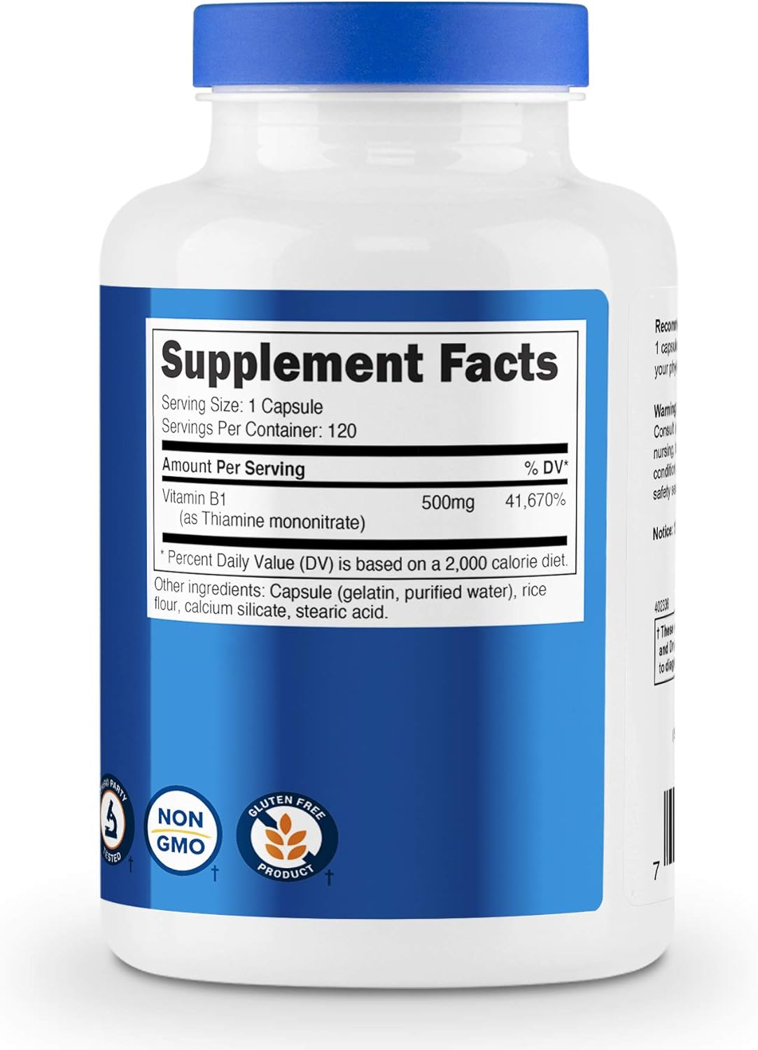 Nutricost Vitamin B1 (Thiamin) 500mg, 120 Capsules (2 Bottles) : Health & Household