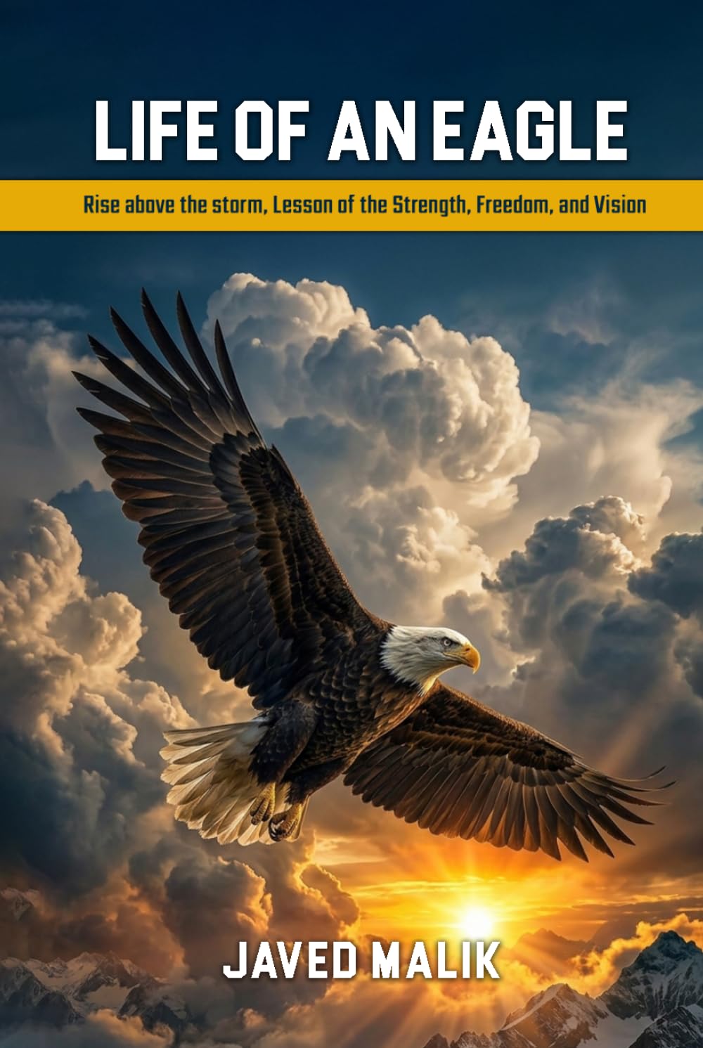 LIFE OF AN EAGLE: Rise Above The Storm, Lesson Of The Strength, Freedom and Vision