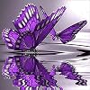 Cross Stitch Kits Stamped, OWN4B Purple Butterflies Printed Pattern 11CT 14.2x14.2 inch DIY Embroidery Kit Butterfly