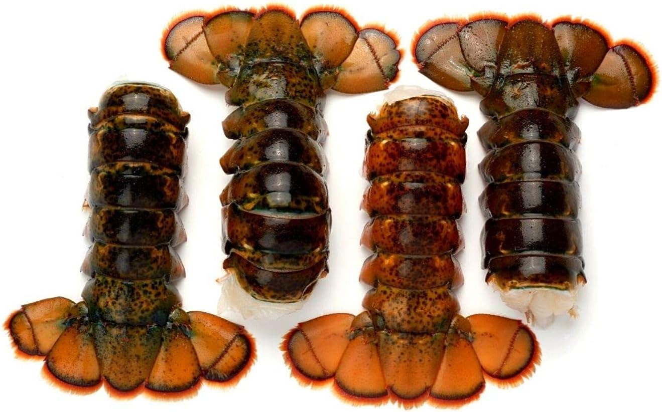 (12 Pack) Fresh Frozen Lobster Tails from Maine - Large Lobster Tails for Delivery, Best with Lobster Crackers, Crab Leg Cracker Tools, Lobster Pics, Seafood Scissor & Forks - Antibiotic Free - Get Maine Lobster