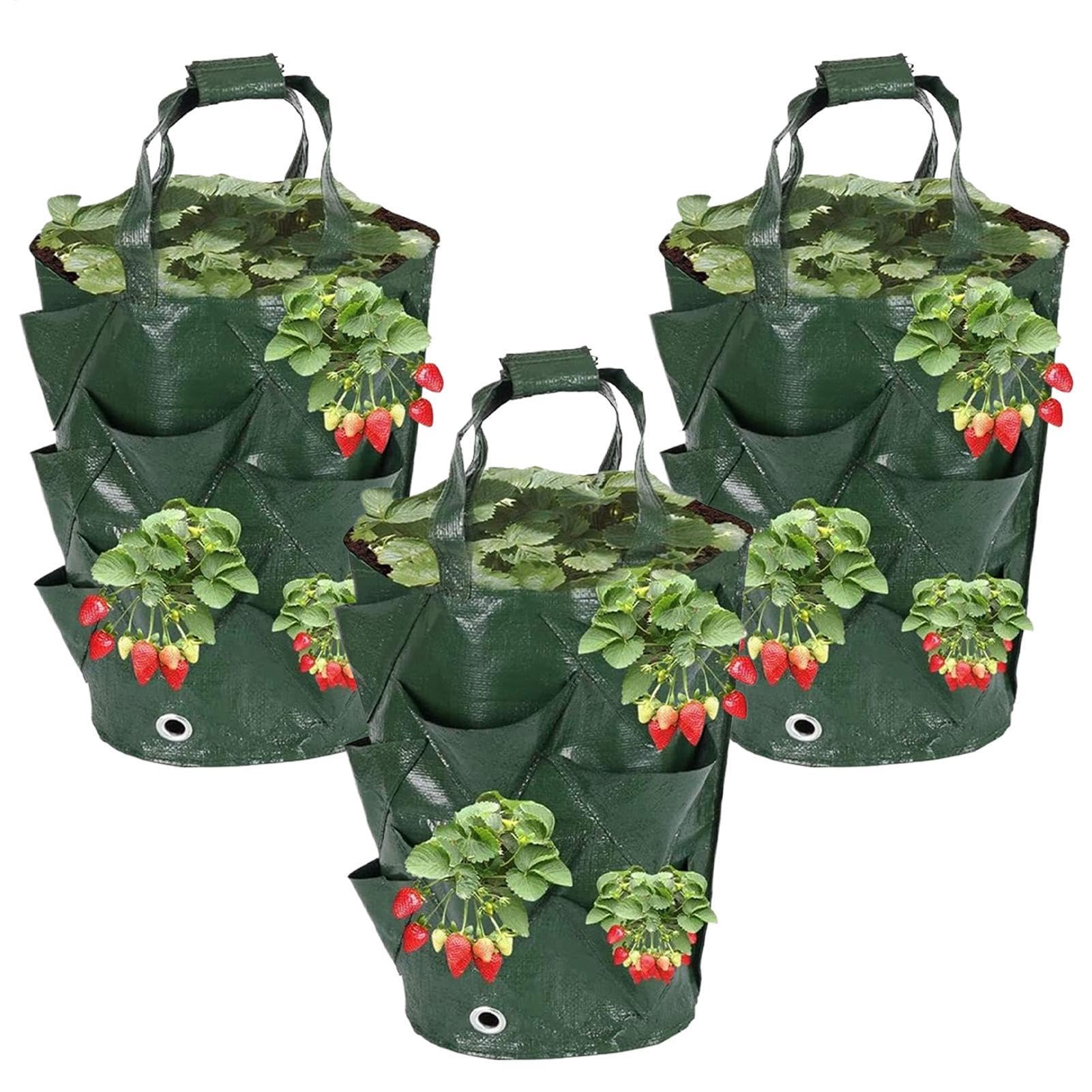 Bolsas de cultivo para fresas transpirables de 11 litros