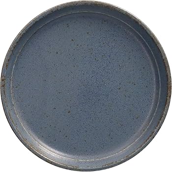 Amazon.co.jp: 美濃焼 皿 深め 取り皿 プレート 約16cm 食洗機対応