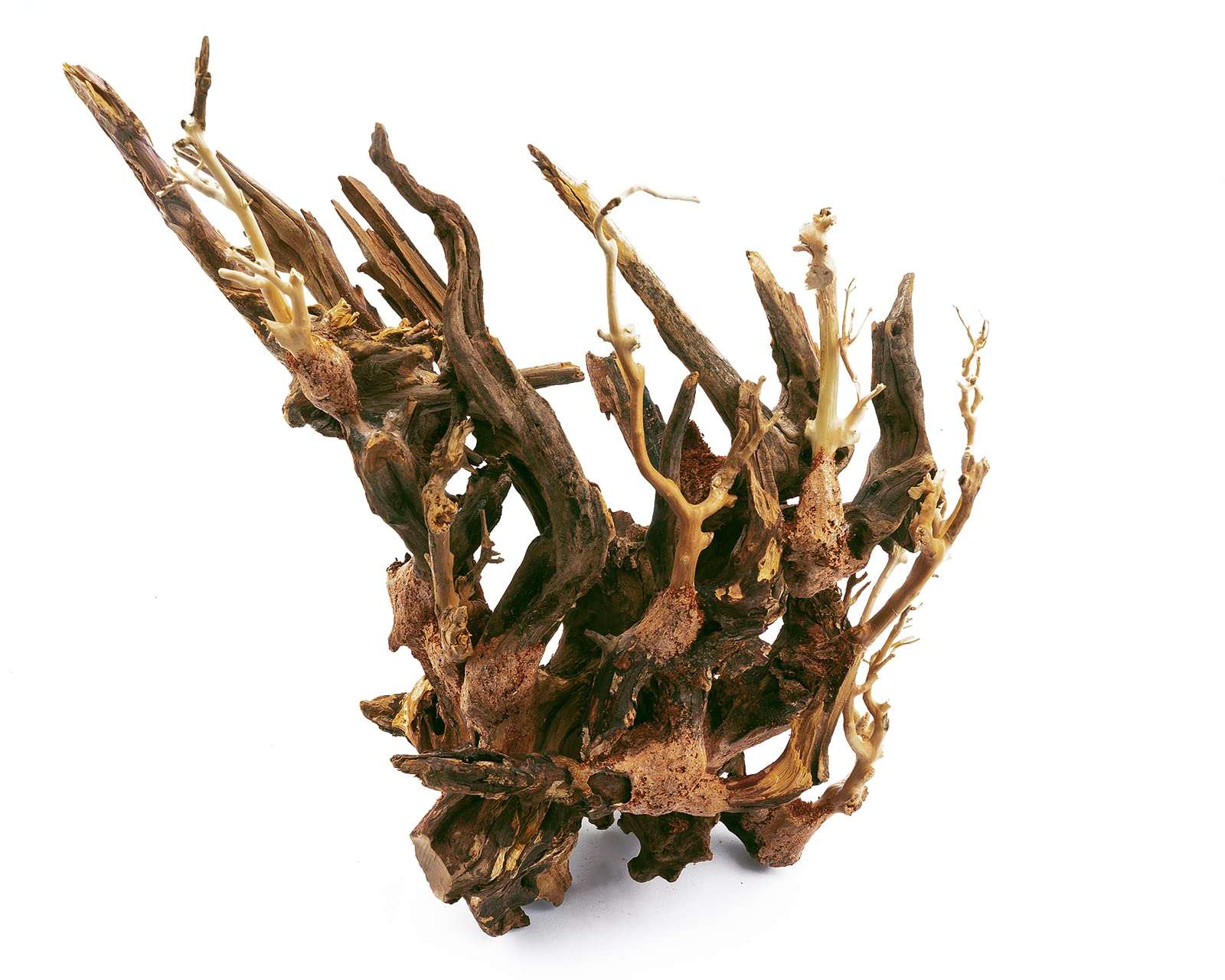 Octopus-Holz für Aquascapes, Size XS-XXL [Size]:M