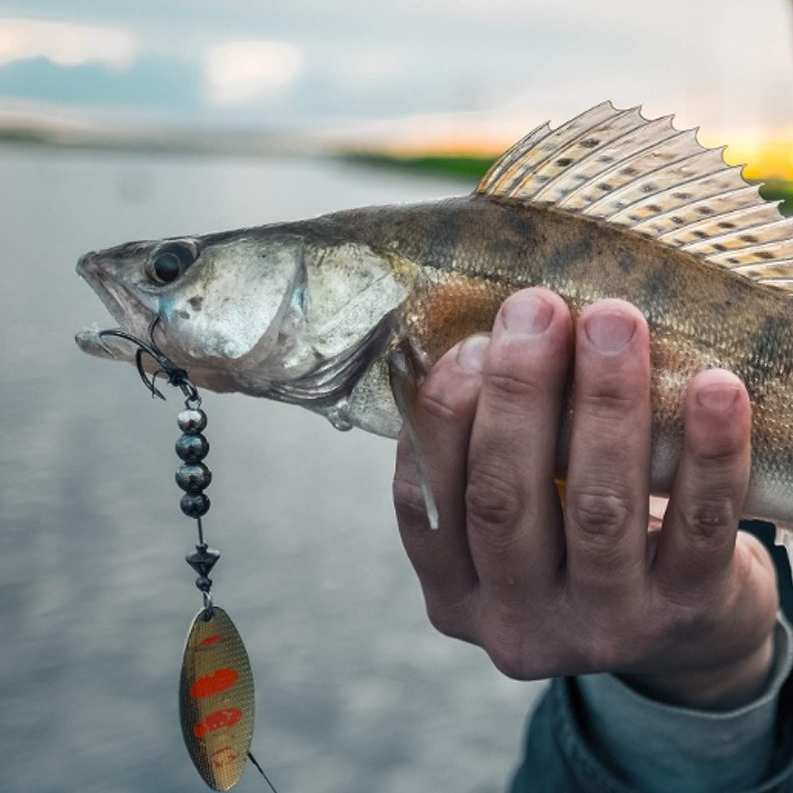 Pêche silure ou mer - boîte de 50 hameçons triples n° 4/0, toutes méthodes