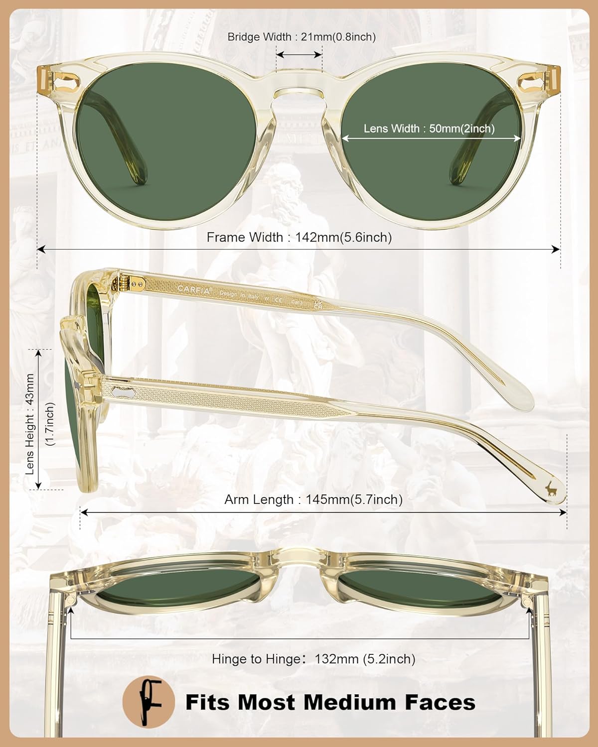 CARFIA Retro Acetate Polarized Sunglasses for Men UV Protection, Vintage Round Frame Eyewear with Gold Filigree CA5506 - Image 5