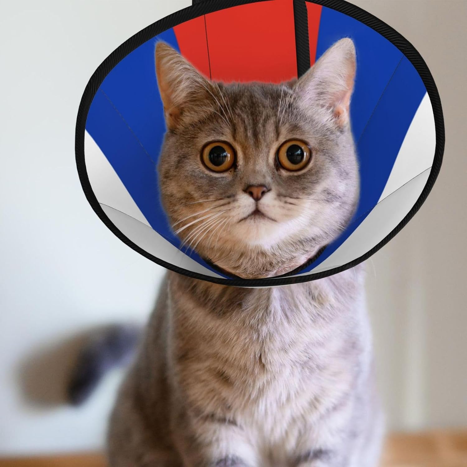 Custom Pet Cones - Unique Design Cat & Dog Cone, Collar for Post-Surgery Recovery, Adjustable Neck Russian Flag Large