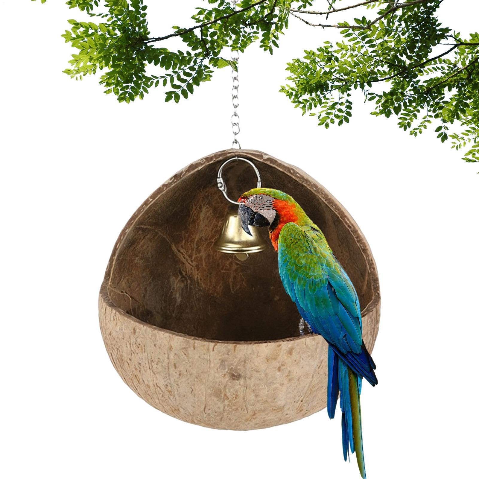 Nichoir à oiseaux de jardin pour créer un havre accueillant sur votre porche