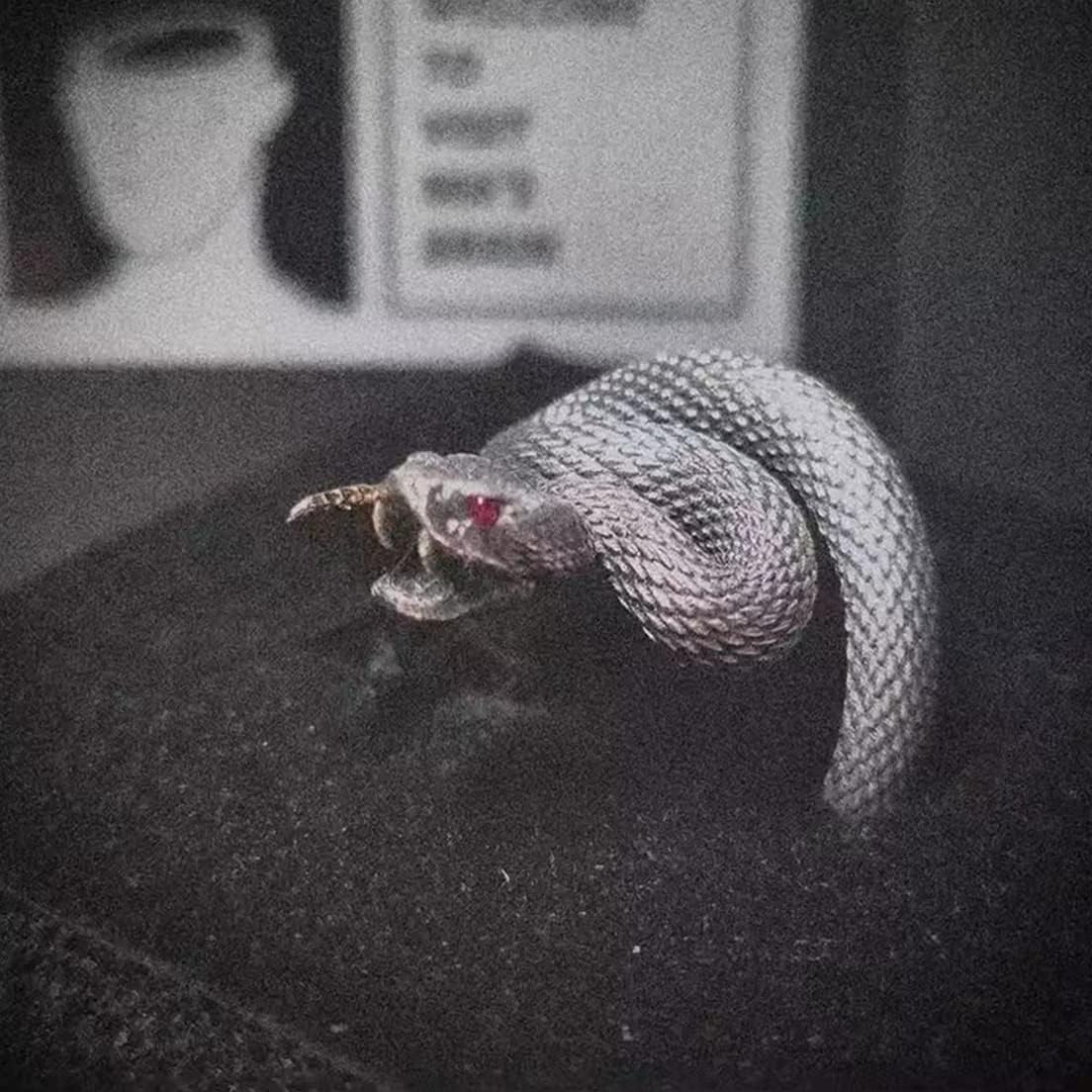 Black Silver Snake Ring,S925 Sterling Silver Cool Punk Gothic Biker Cocktail Party Spiral Twisted Wrap Rattlesnake Ring Jewelry for Women Men - Image 5