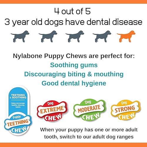 Vista 32 de Nylabone - Juguete masticable para cachorros, suministros para cachorros, sabor cordero y manzana, pequeño/regular (1 unidad)