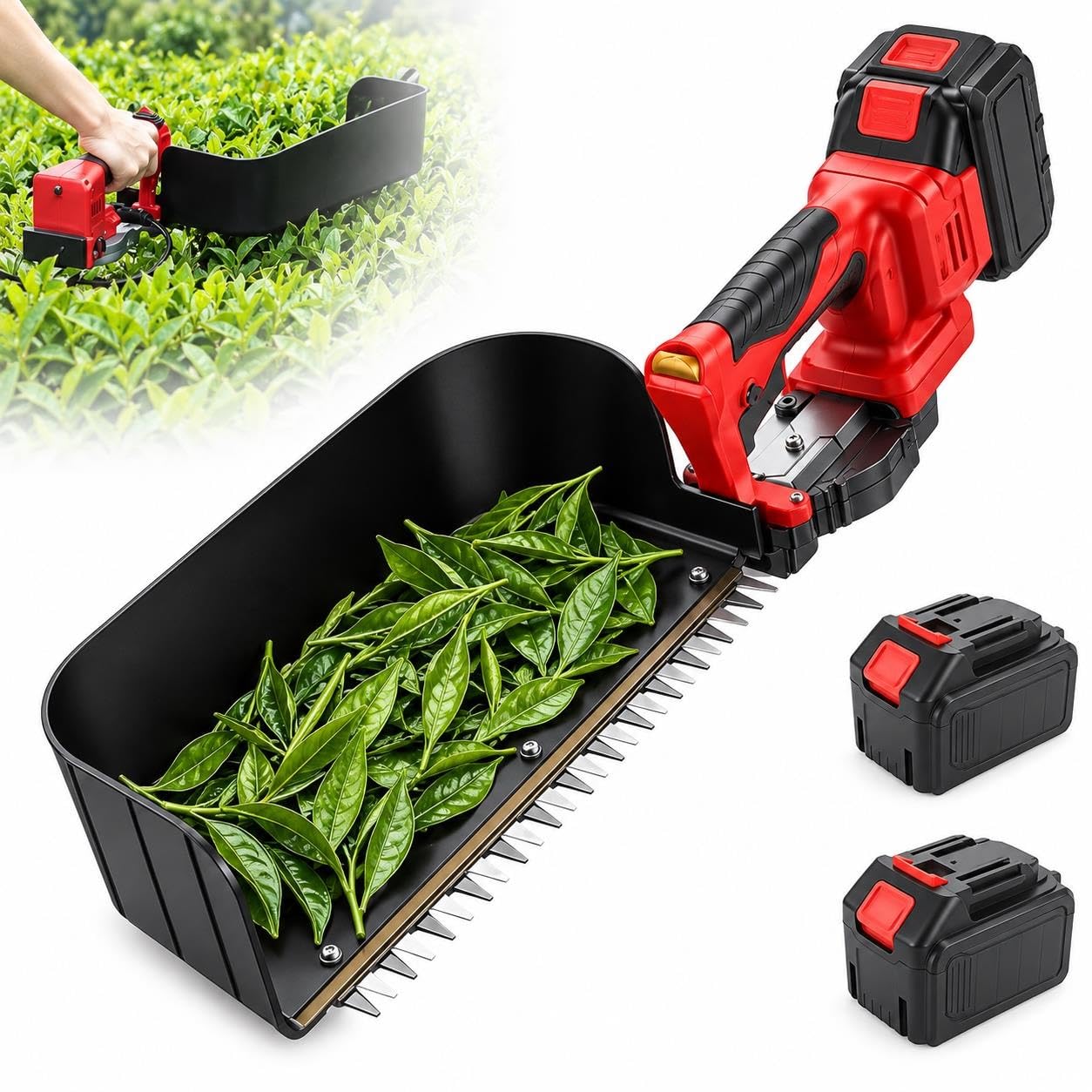 Cosechadora De Té Eléctrica, Recolector De Té De 6 Velocidades