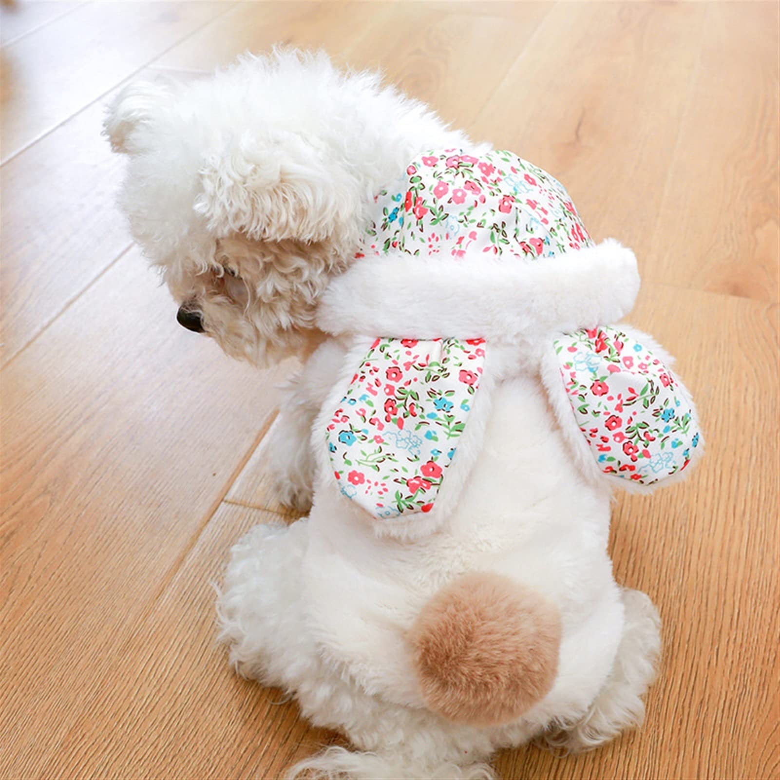 Vêtements Mignons for Animaux de Compagnie Hoodie Manteau Épaissir Hiver Body Body for Petit Chi Chiot Pull Pull Dogspets Fournitures Soft (Color : Color 2, Size : XS.)