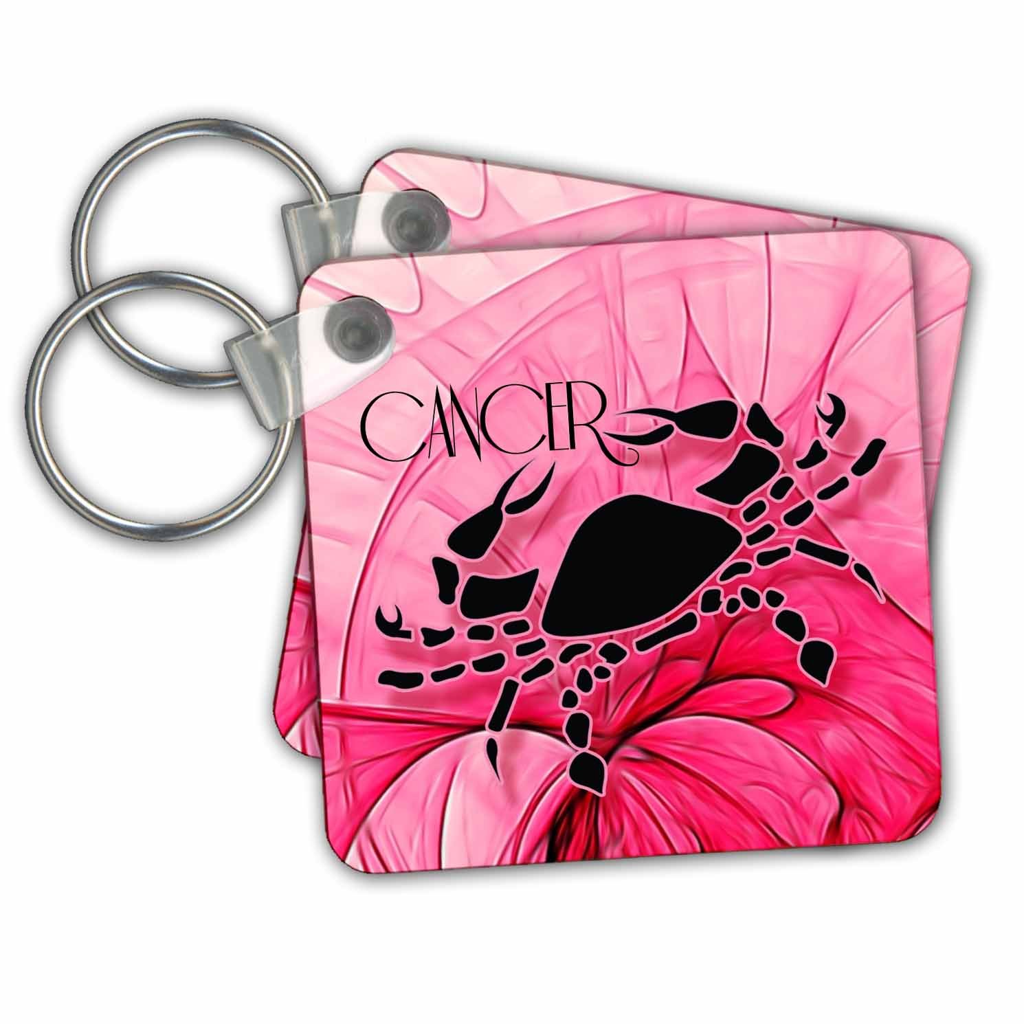 3dRose Lady Cancer in Pink & Black Swirls Zodiac - Key Chains, 2.25 x 2.25", Set of 2 (kc_204552_1)