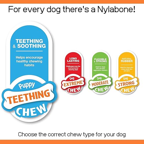 Vista 30 de Nylabone - Juguete masticable para cachorros, suministros para cachorros, sabor cordero y manzana, pequeño/regular (1 unidad)