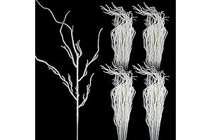Yunsailing White Twigs Curly Willow Branches for Home Decor