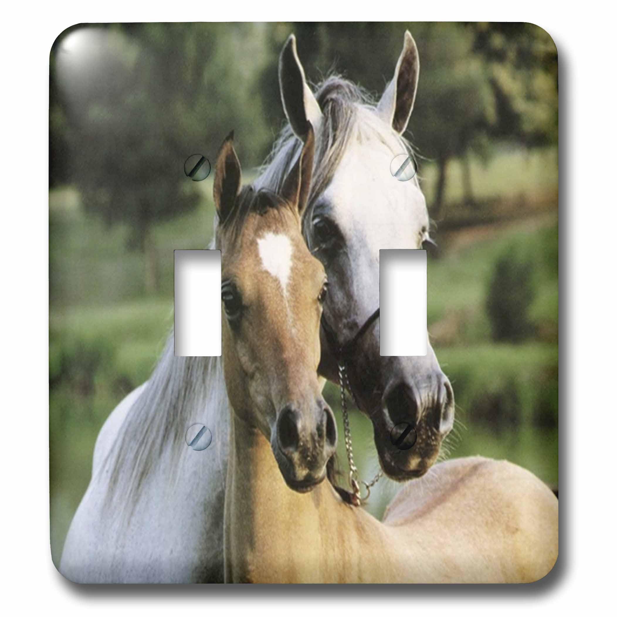 Interrupteur double bascule 3dRose lsp_38920_2 motif cheval